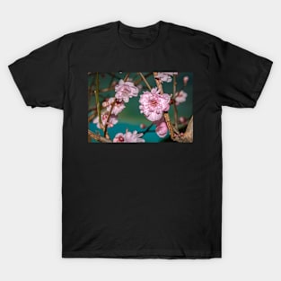 FLOWERS, NATURE’S Fashion Models T-Shirt